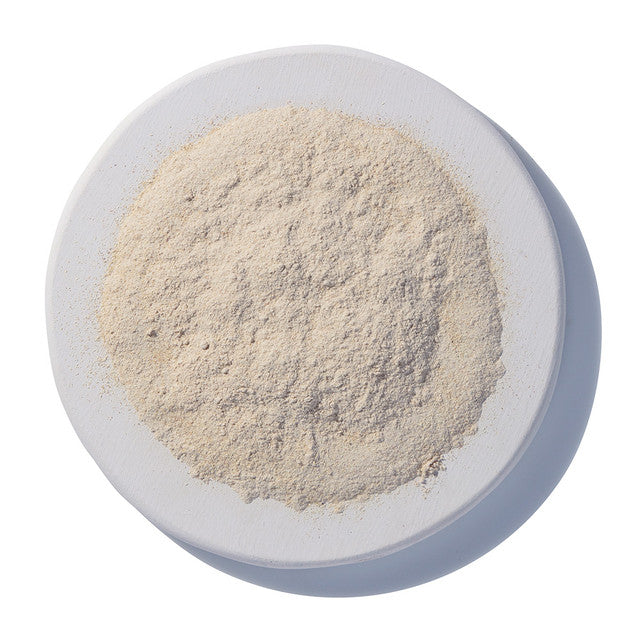 Astragalus Root Powder Organic