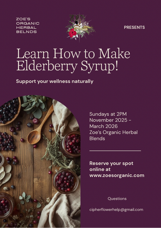 How to Make Elderberry Syrup – Herbal Wellness Workshop