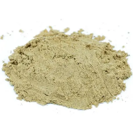 Calamus Root
